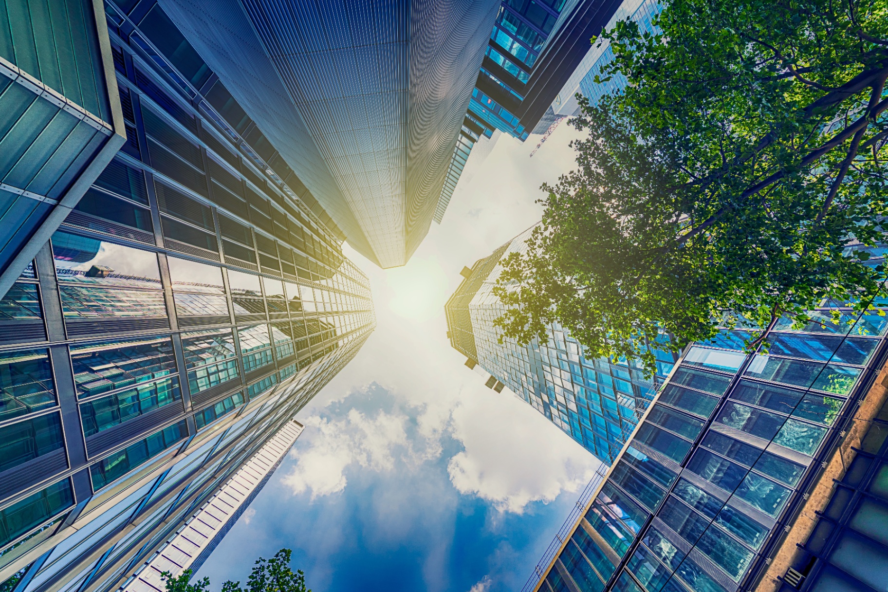 IFRS 16, contrats de location : ce qui change et comment le piloter